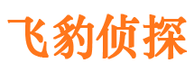 文登市侦探调查公司